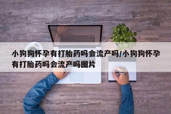 堕胎药如何购买小狗狗怀孕有打胎药吗会流产吗/小狗狗怀孕有打胎药吗会流产吗图片