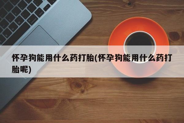 堕胎药如何购买怀孕狗能用什么药打胎(怀孕狗能用什么药打胎呢)